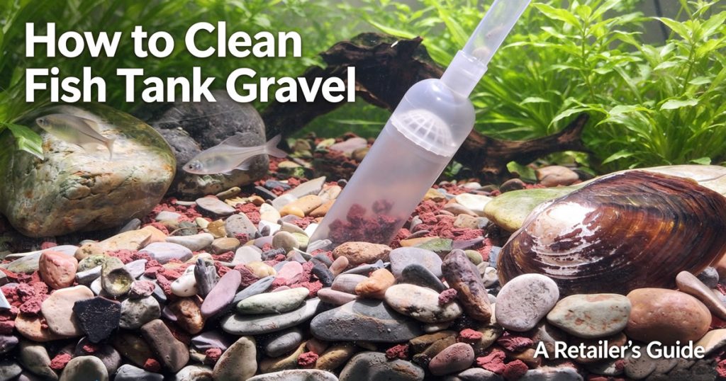 Wholesale guide: how to clean fish tank gravel with siphon tools