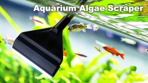 Aquarium Algae Scraper: The Complete Guide for Retailers & Wholesale Buyers