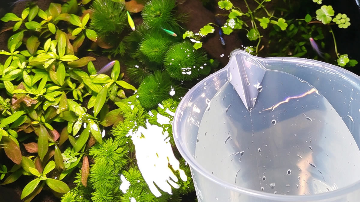 Freshwater aquarium measuring cup in a planted aquarium scene with live plants and fish