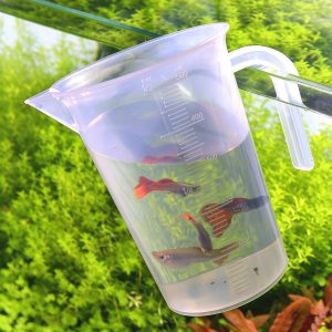 Aquarium measuring cup hanging on the tank rim beside a guppy